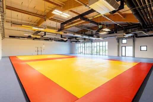 Cursuri de inițiere în judo pentru copii