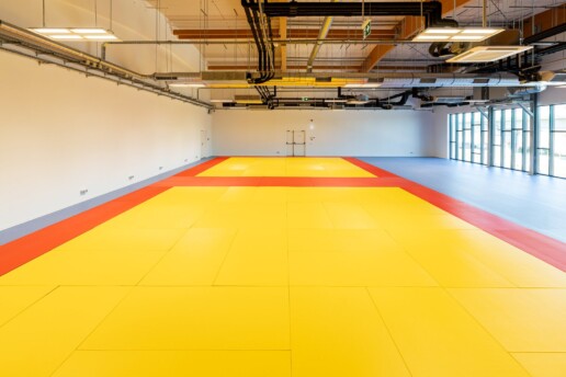 Cursuri de inițiere în judo pentru copii